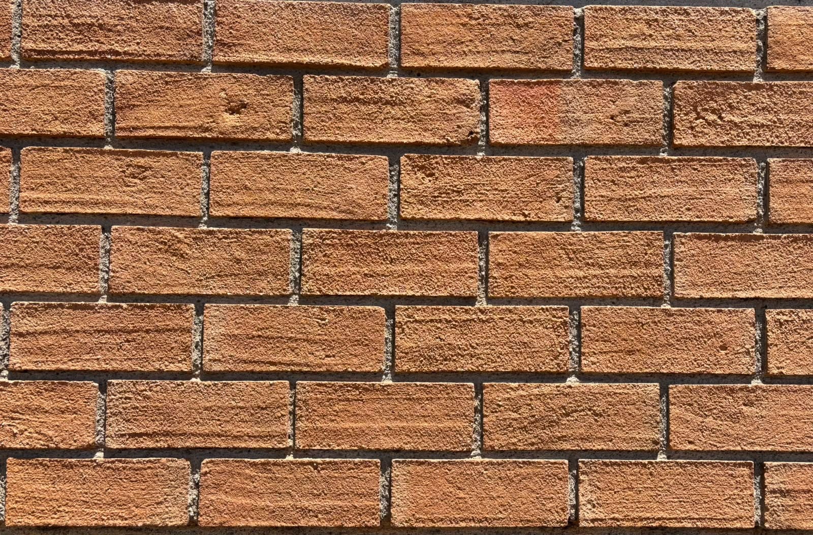 Enchape Cauquenes Cortos — textura instalada en muro