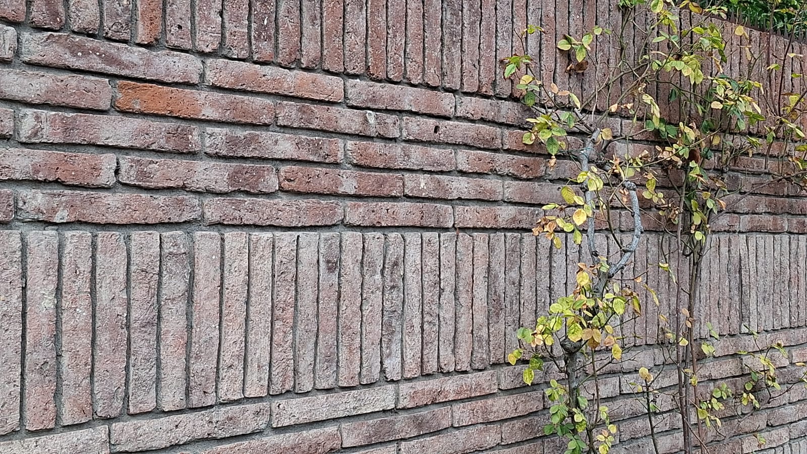 Ladrillo Muralla — textura de muro con ladrillo muralla